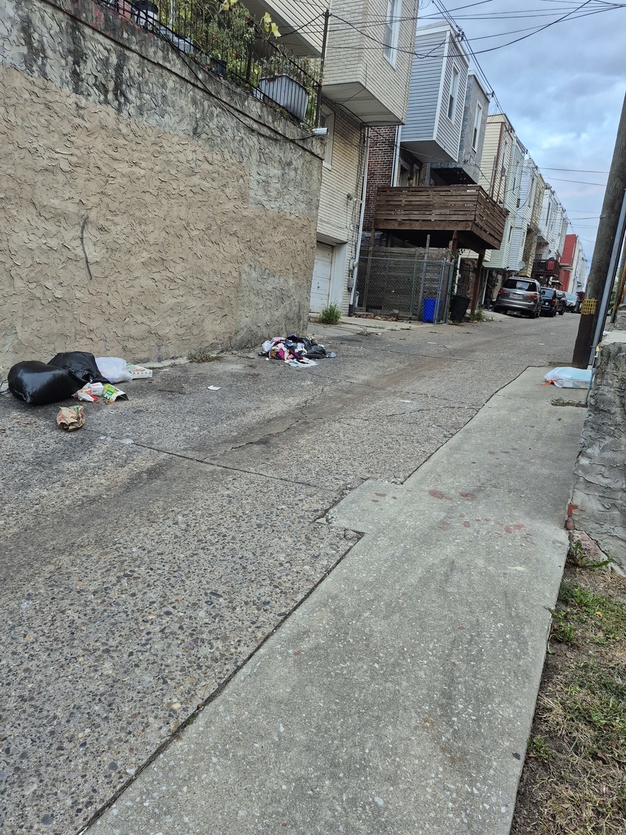 Photographic documentation of the work as submitted to the city's 311 record.