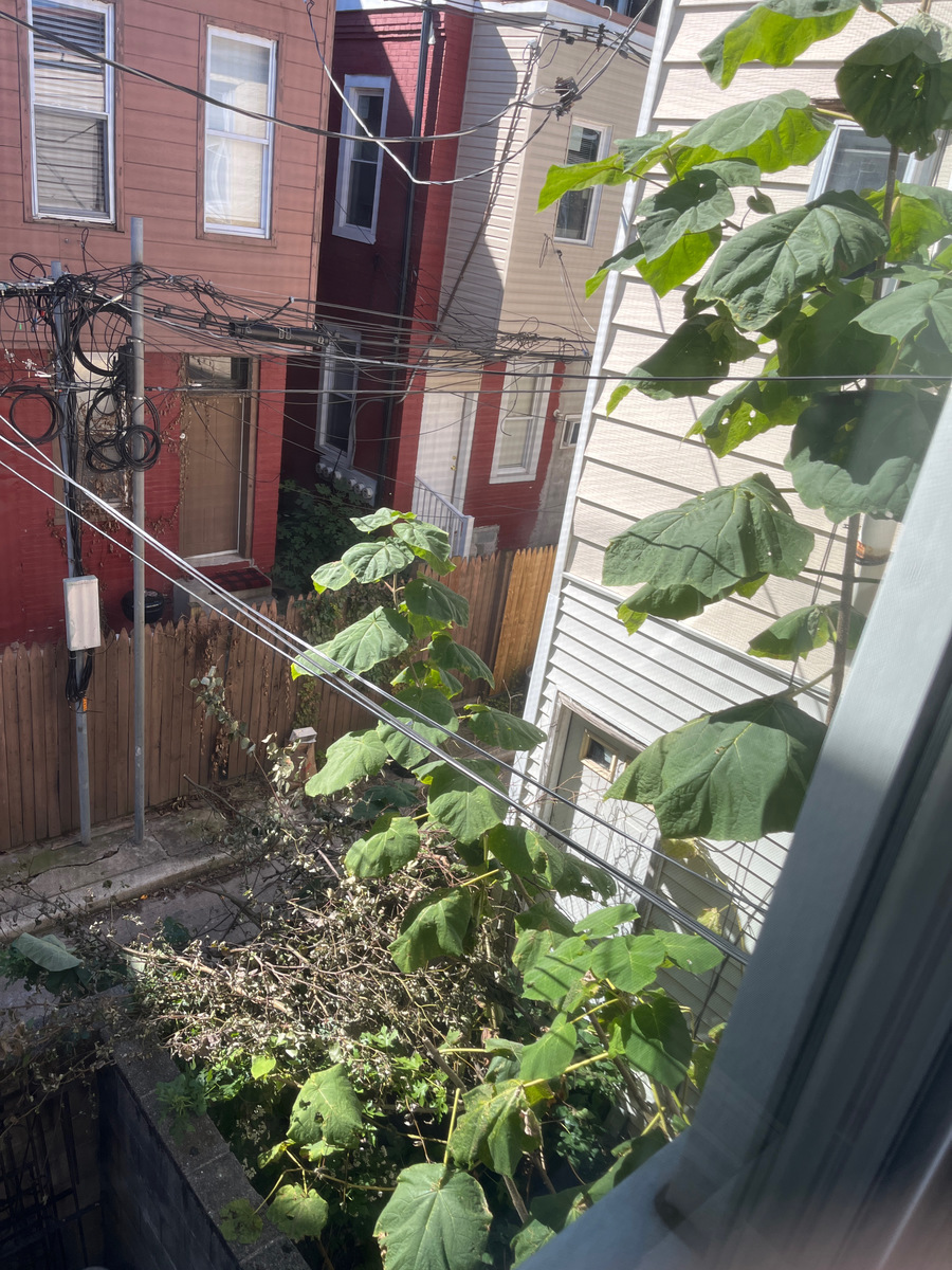 Photographic documentation of the work as submitted to the city's 311 record.