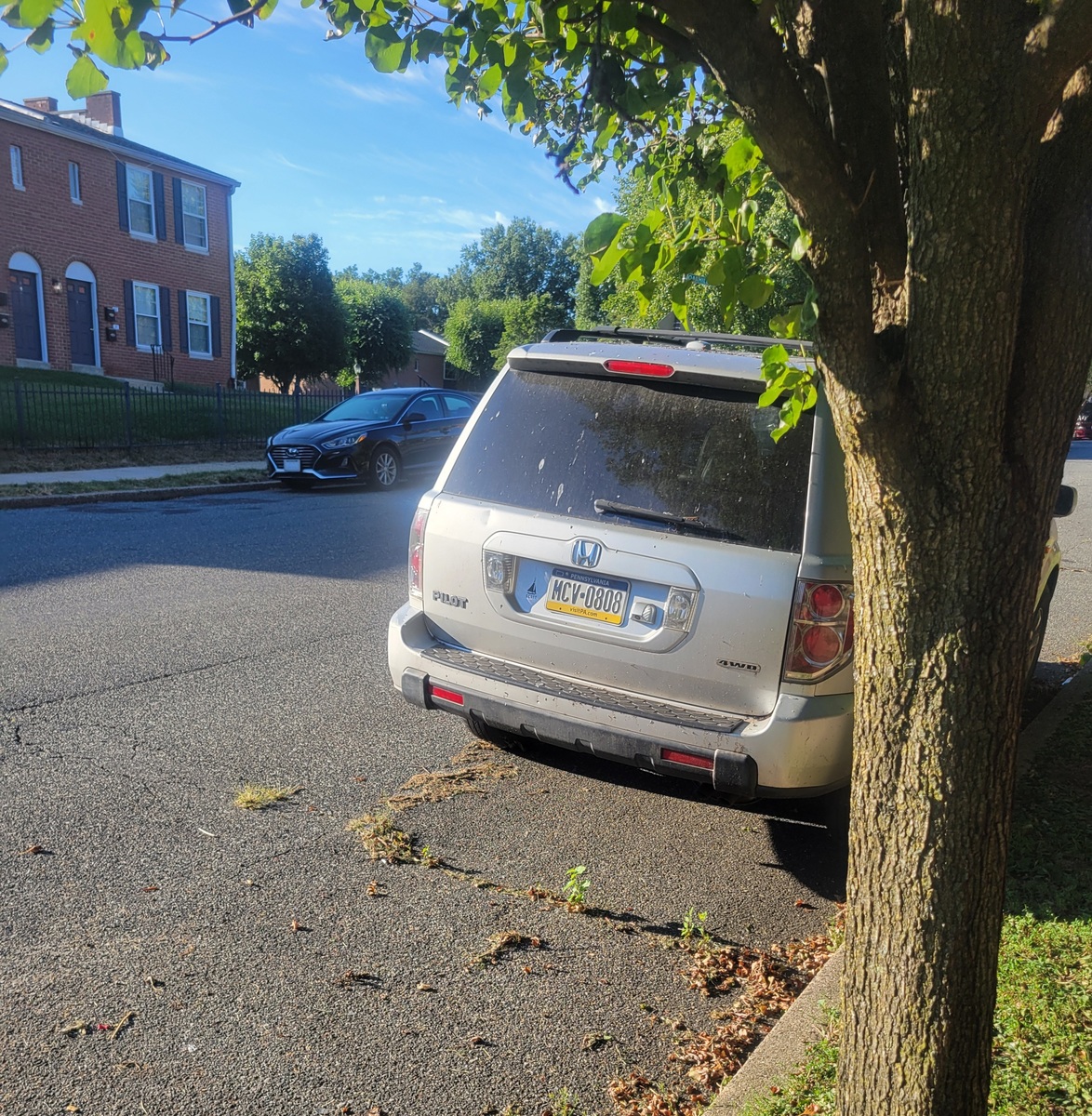Photographic documentation of the work as submitted to the city's 311 record.