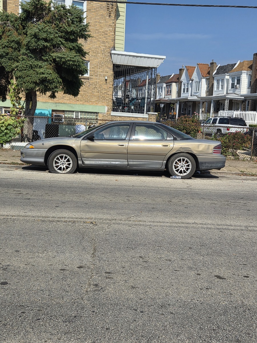 Photographic documentation of the work as submitted to the city's 311 record.
