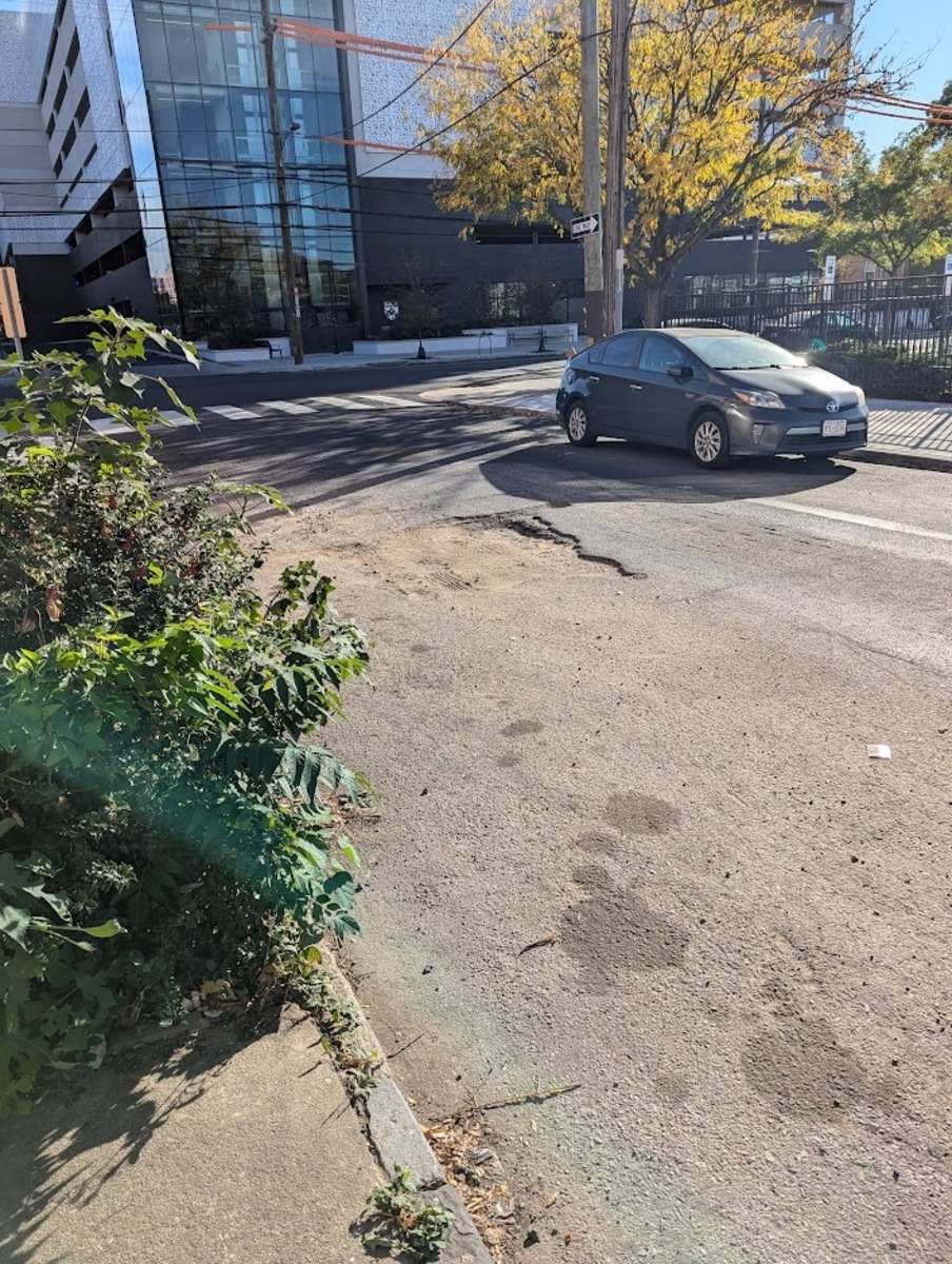 Photographic documentation of the work as submitted to the city's 311 record.