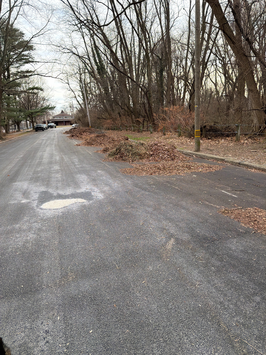 Photographic documentation of the work as submitted to the city's 311 record.