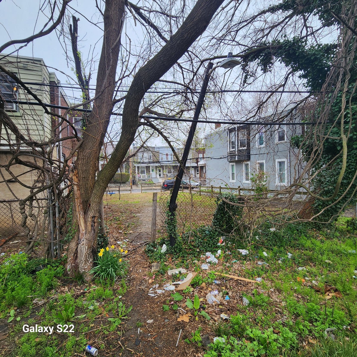 Photographic documentation of the work as submitted to the city's 311 record.