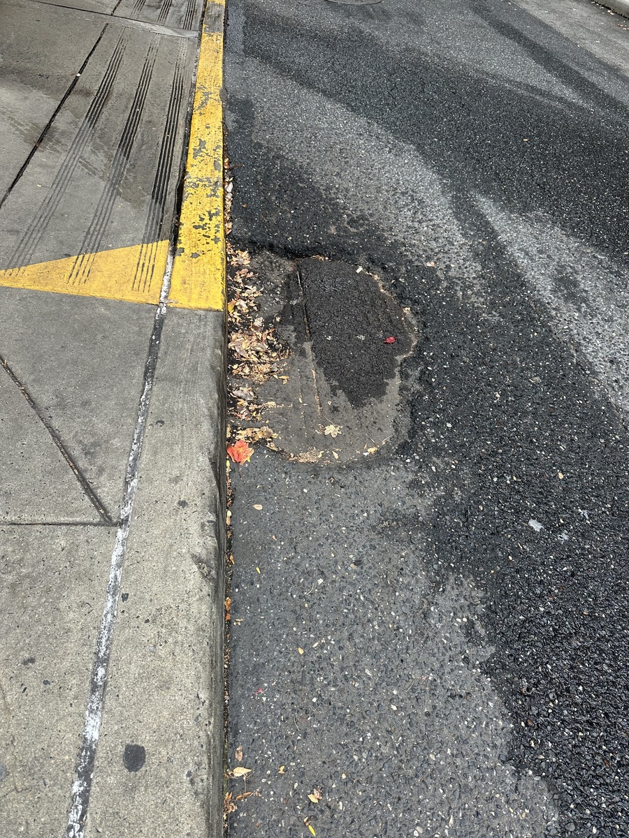 Photographic documentation of the work as submitted to the city's 311 record.
