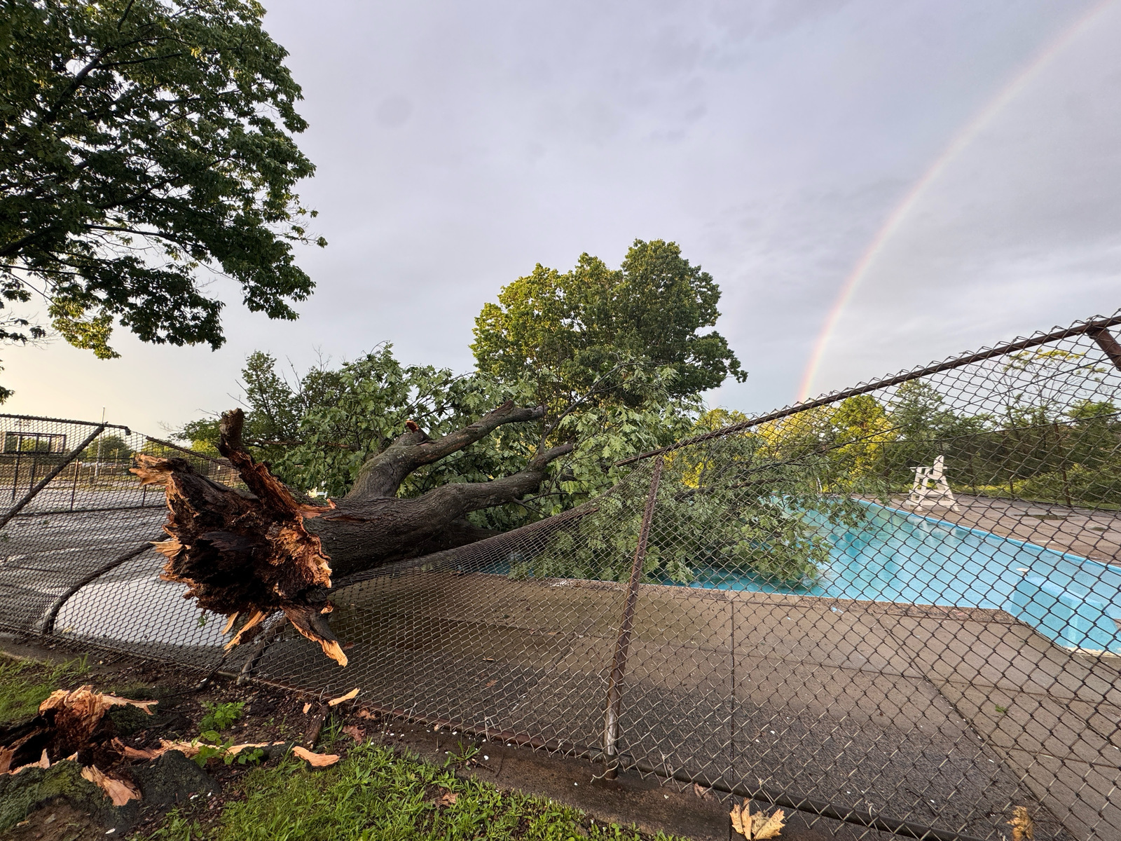 Photographic documentation of the work as submitted to the city's 311 record.