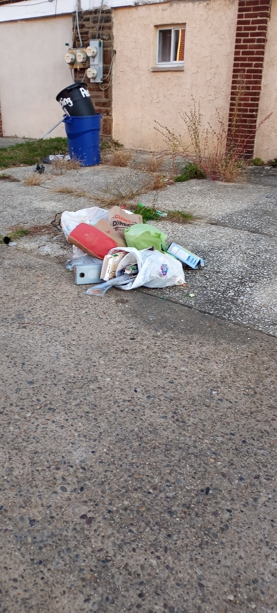 Photographic documentation of the work as submitted to the city's 311 record.