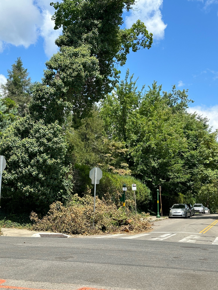 Photographic documentation of the work as submitted to the city's 311 record.