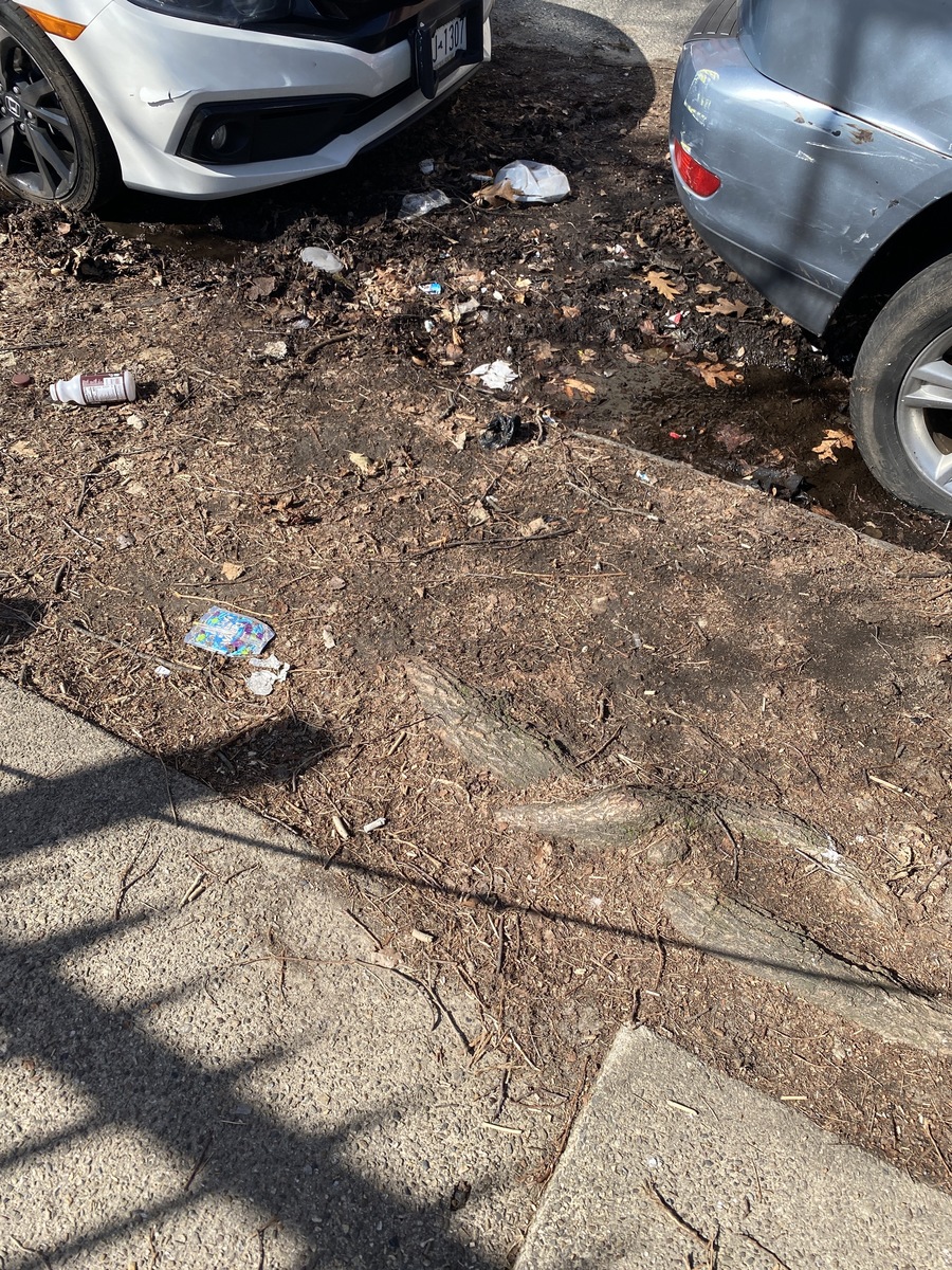 Photographic documentation of the work as submitted to the city's 311 record.
