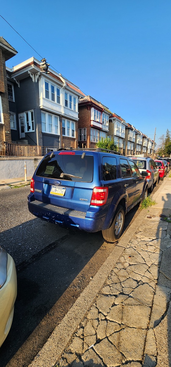Photographic documentation of the work as submitted to the city's 311 record.
