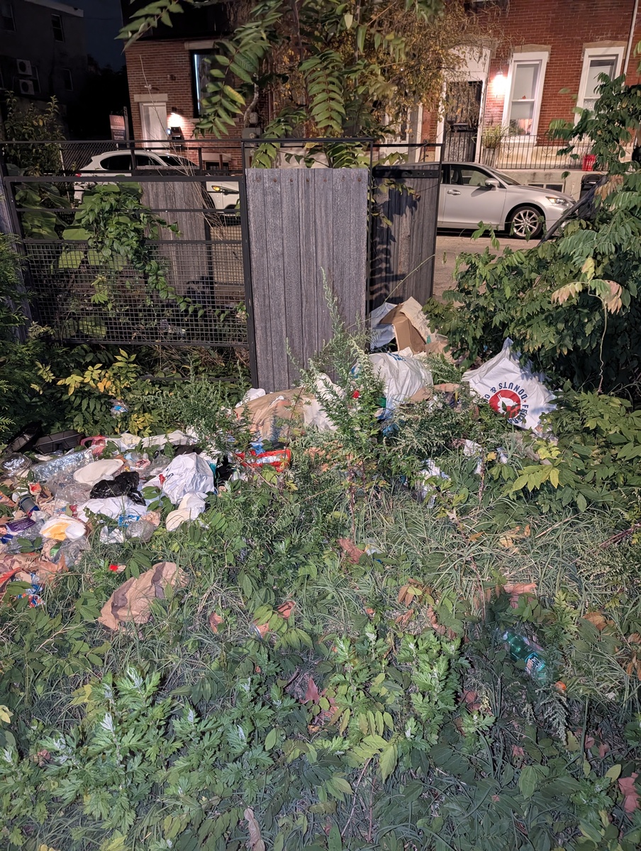 Photographic documentation of the work as submitted to the city's 311 record.