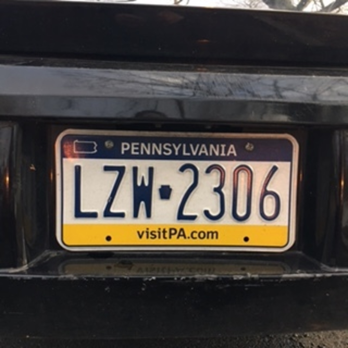 Photographic documentation of the work as submitted to the city's 311 record.