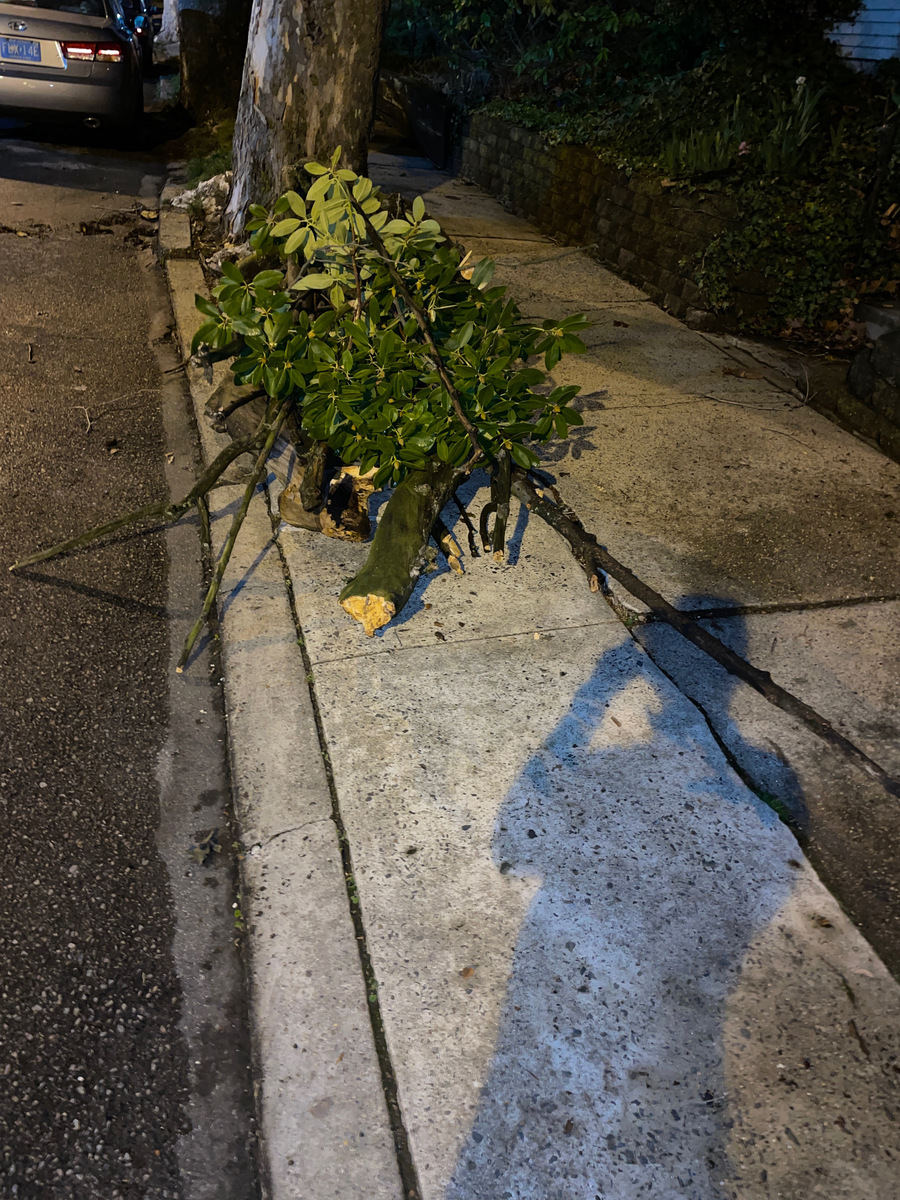 Photographic documentation of the work as submitted to the city's 311 record.