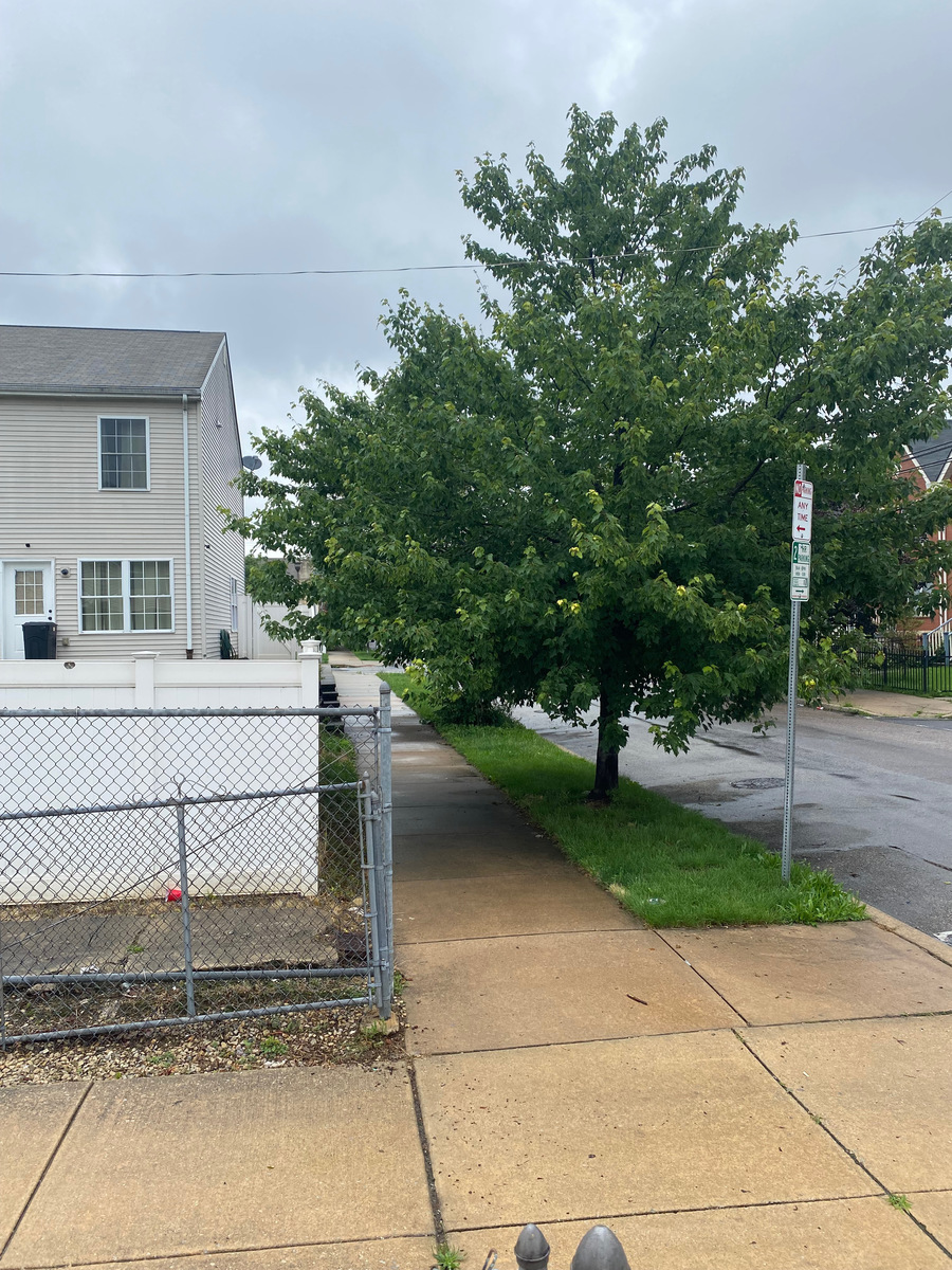 Photographic documentation of the work as submitted to the city's 311 record.