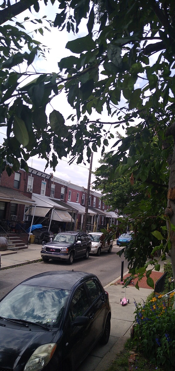 Photographic documentation of the work as submitted to the city's 311 record.