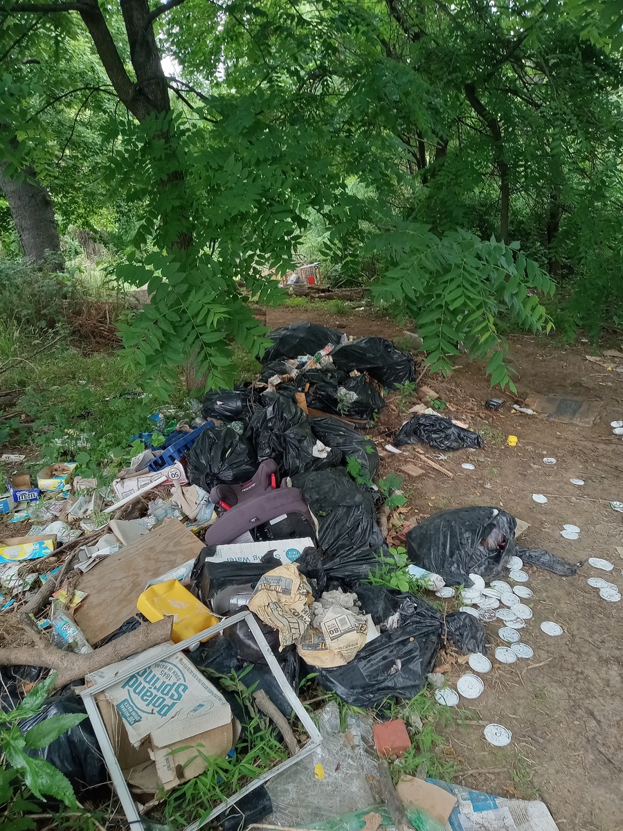 Photographic documentation of the work as submitted to the city's 311 record.