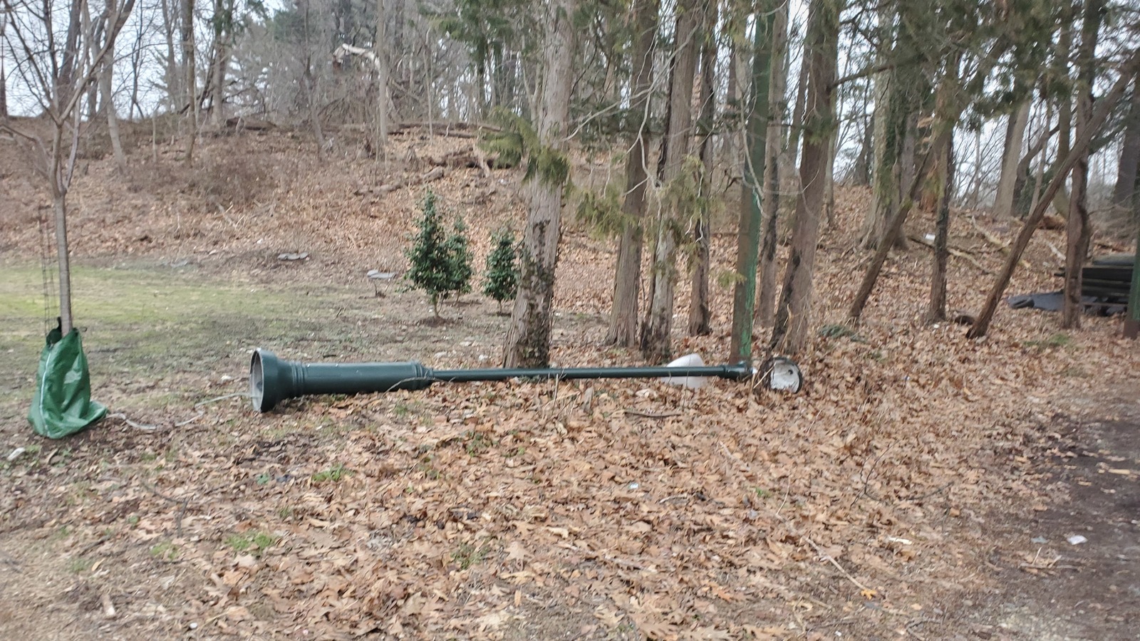 Photographic documentation of the work as submitted to the city's 311 record.