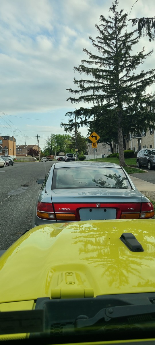 Photographic documentation of the work as submitted to the city's 311 record.