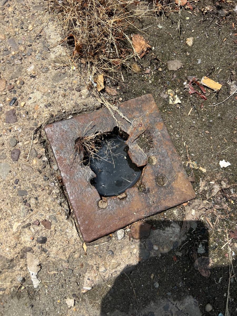 Photographic documentation of the work as submitted to the city's 311 record.