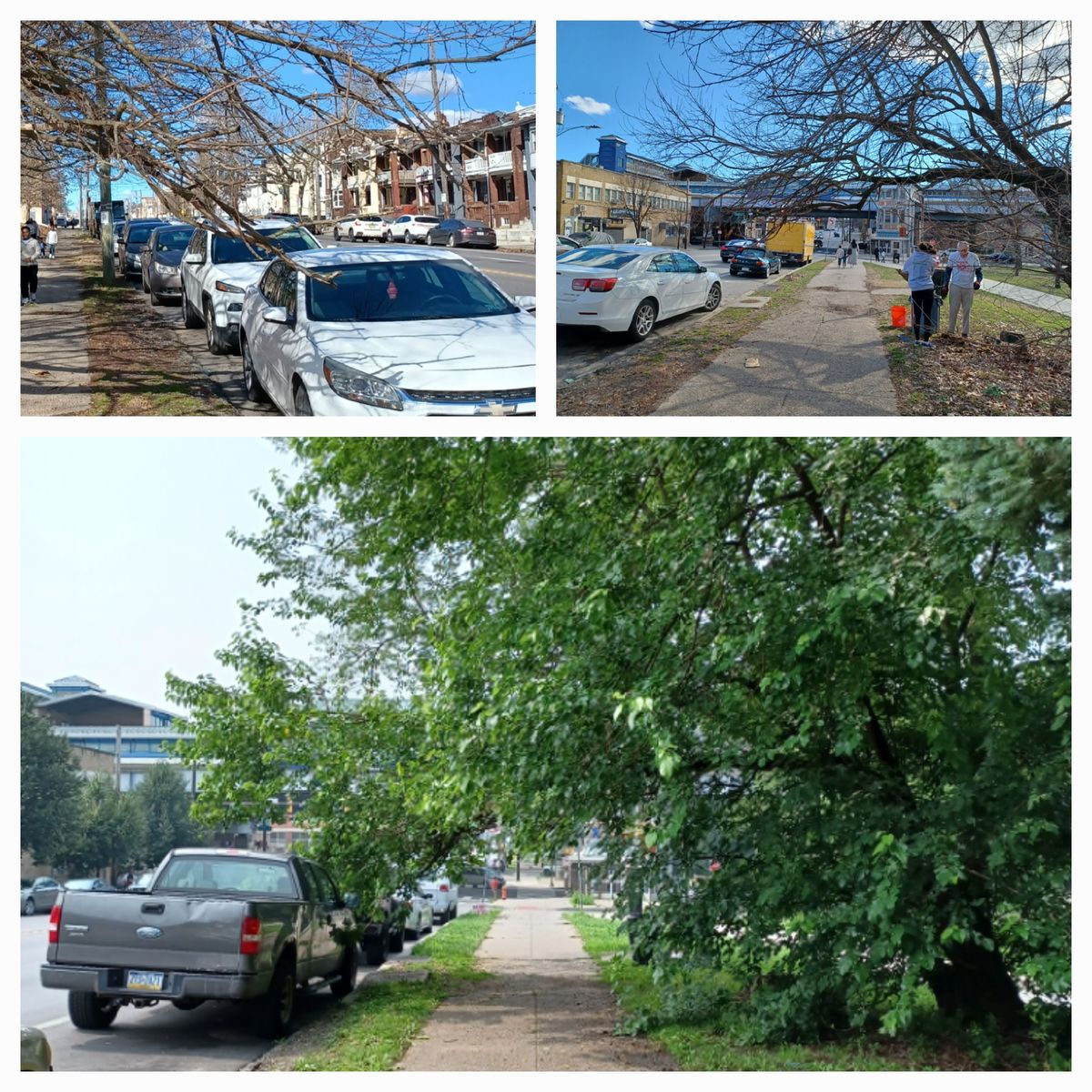 Photographic documentation of the work as submitted to the city's 311 record.