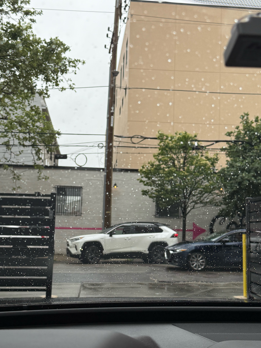 Photographic documentation of the work as submitted to the city's 311 record.