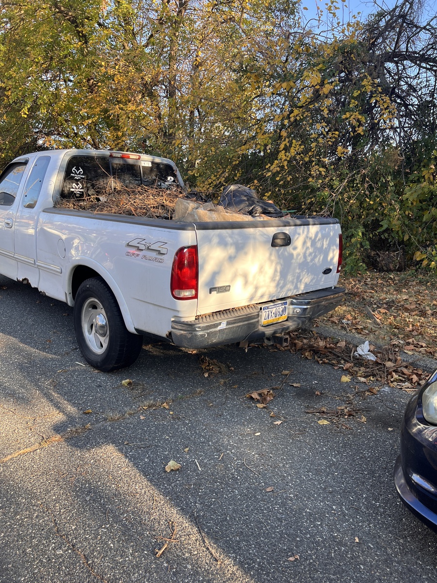 Photographic documentation of the work as submitted to the city's 311 record.