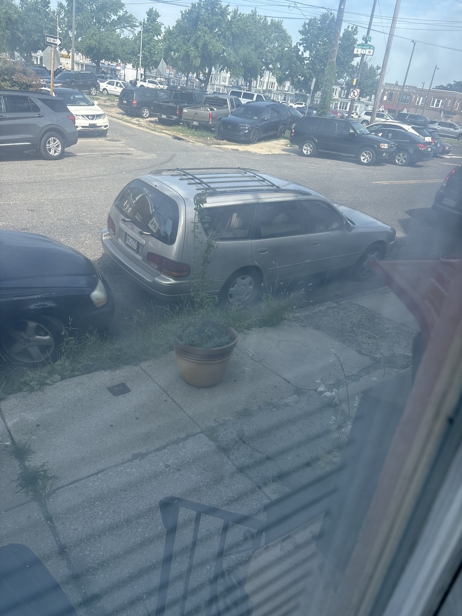 Photographic documentation of the work as submitted to the city's 311 record.