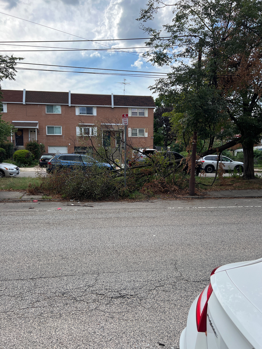Photographic documentation of the work as submitted to the city's 311 record.