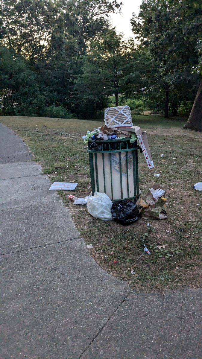 Photographic documentation of the work as submitted to the city's 311 record.