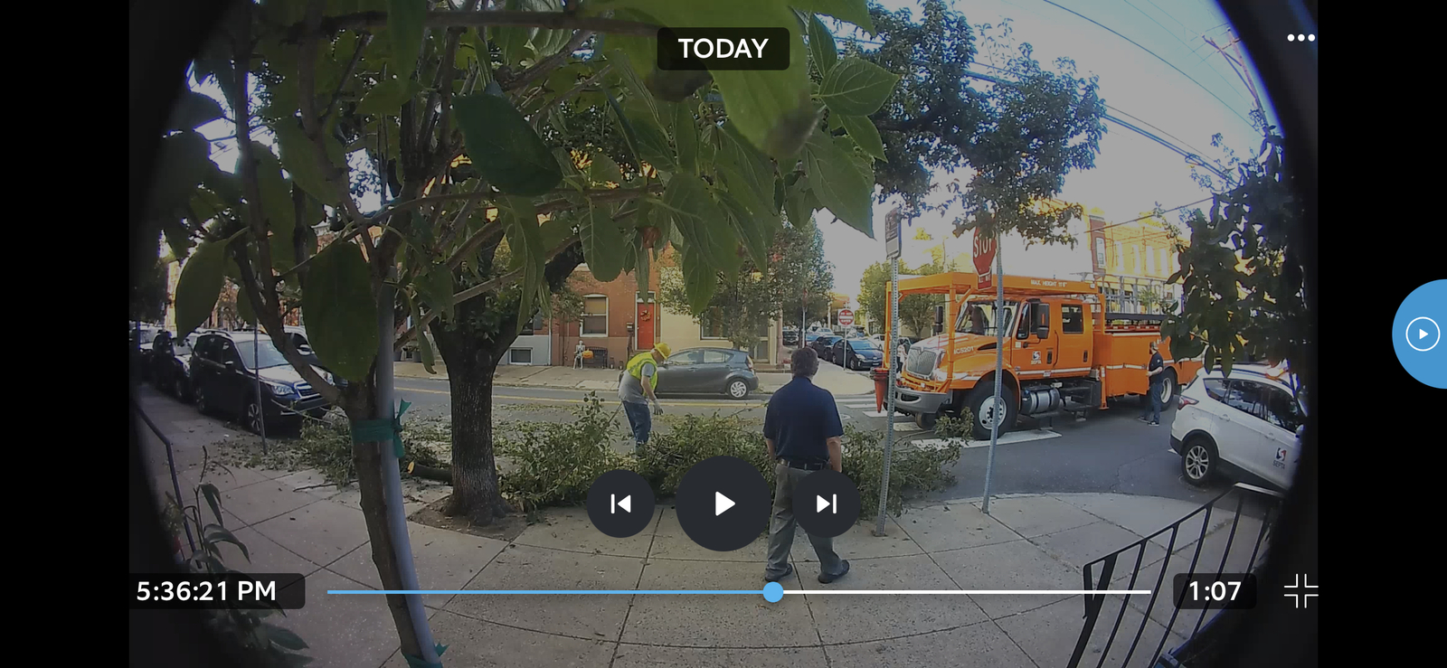 Photographic documentation of the work as submitted to the city's 311 record.