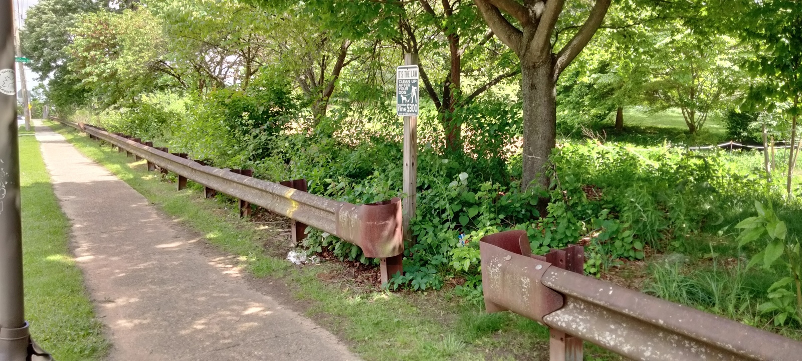 Photographic documentation of the work as submitted to the city's 311 record.