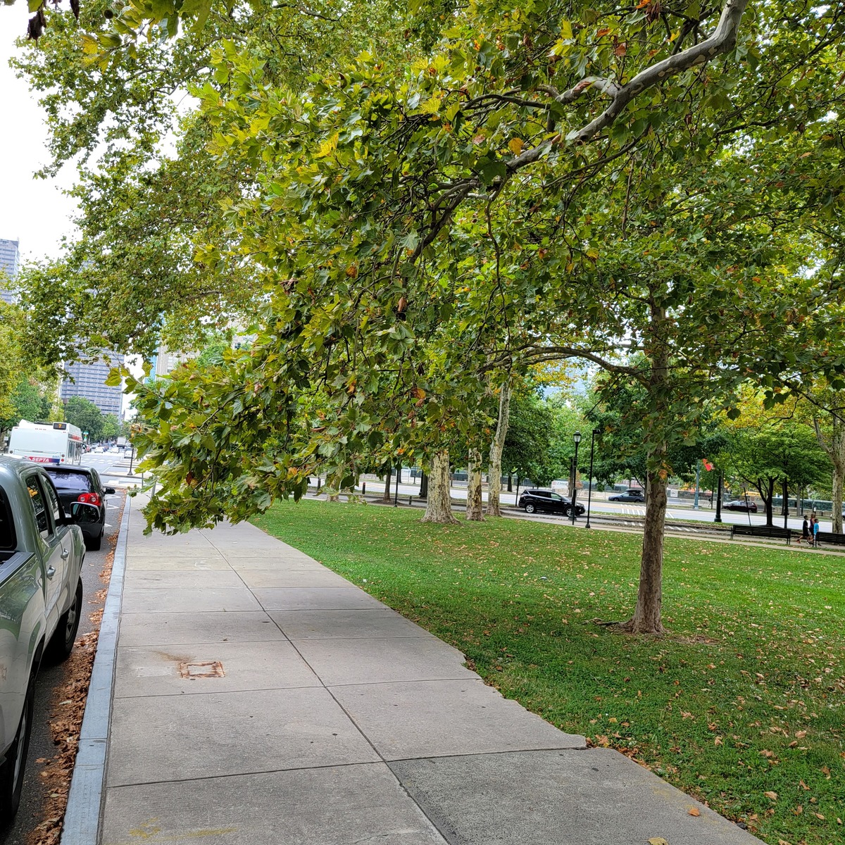 Photographic documentation of the work as submitted to the city's 311 record.