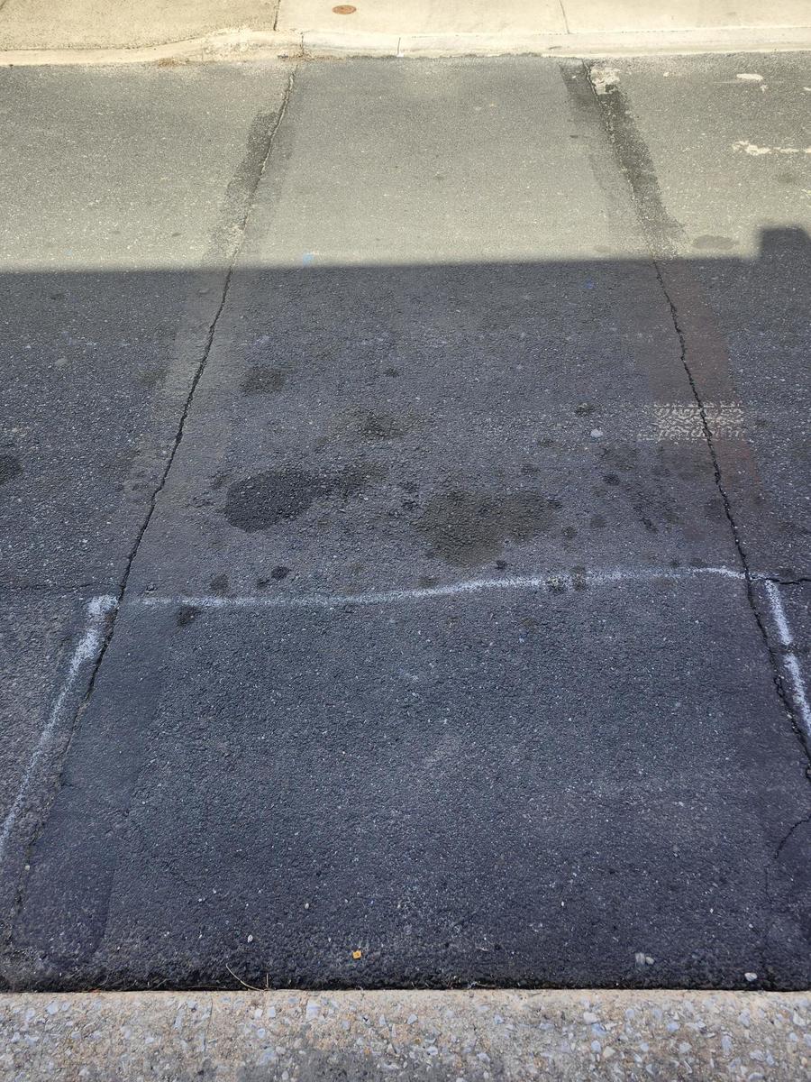 Photographic documentation of the work as submitted to the city's 311 record.