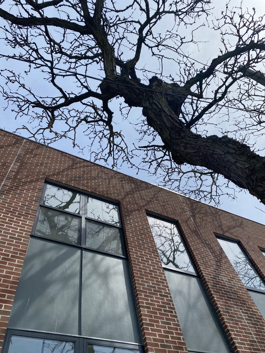 Photographic documentation of the work as submitted to the city's 311 record.