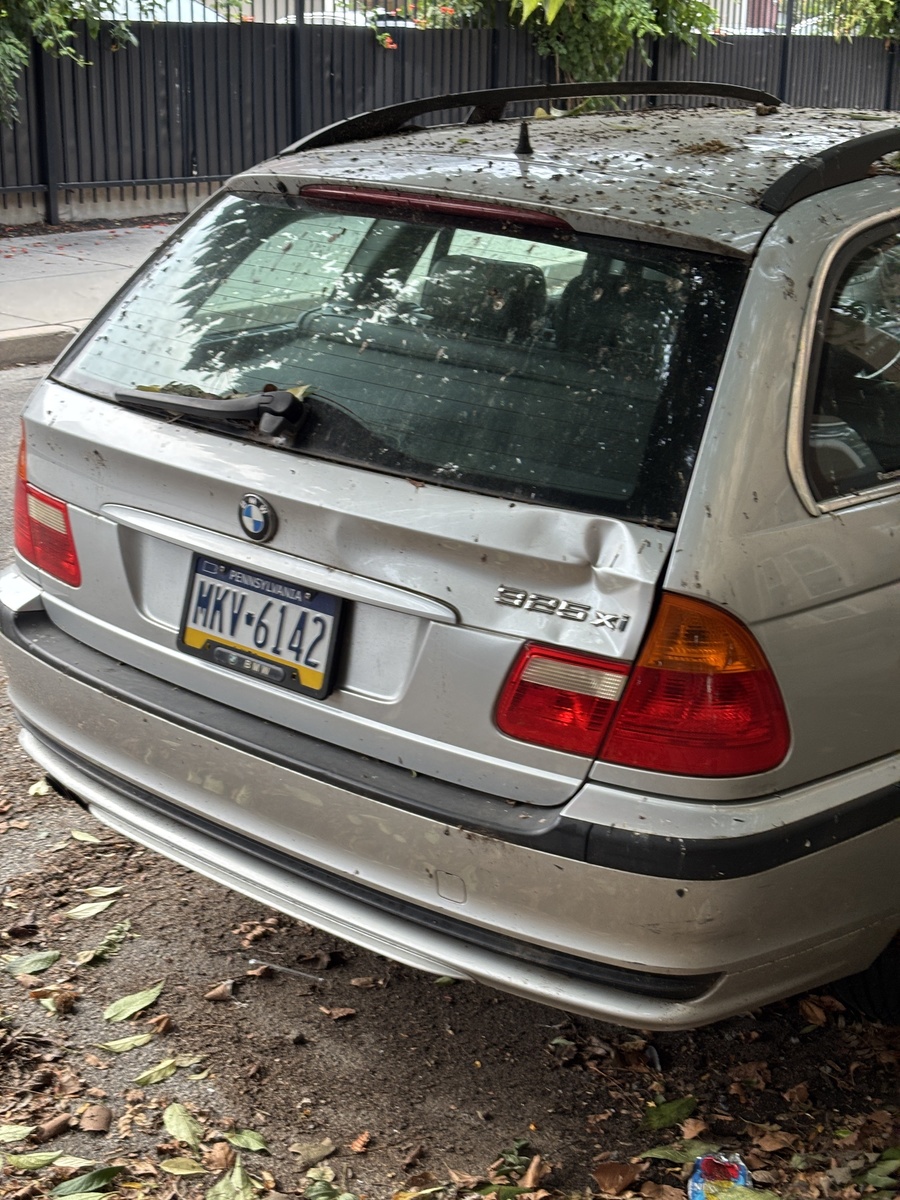 Photographic documentation of the work as submitted to the city's 311 record.
