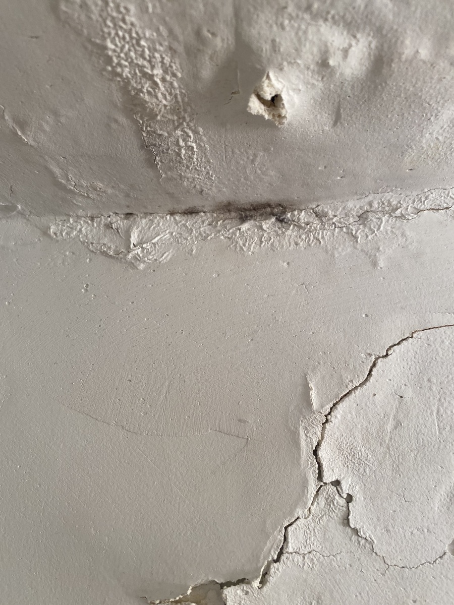 Photographic documentation of the work as submitted to the city's 311 record.