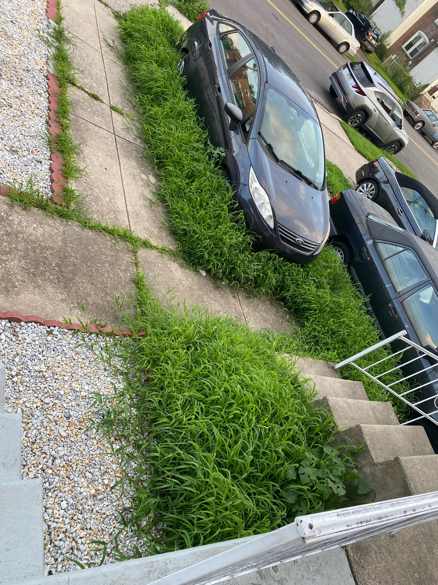 Photographic documentation of the work as submitted to the city's 311 record.