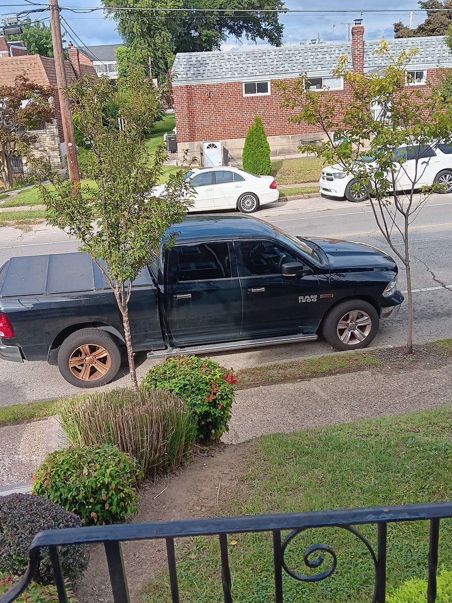 Photographic documentation of the work as submitted to the city's 311 record.