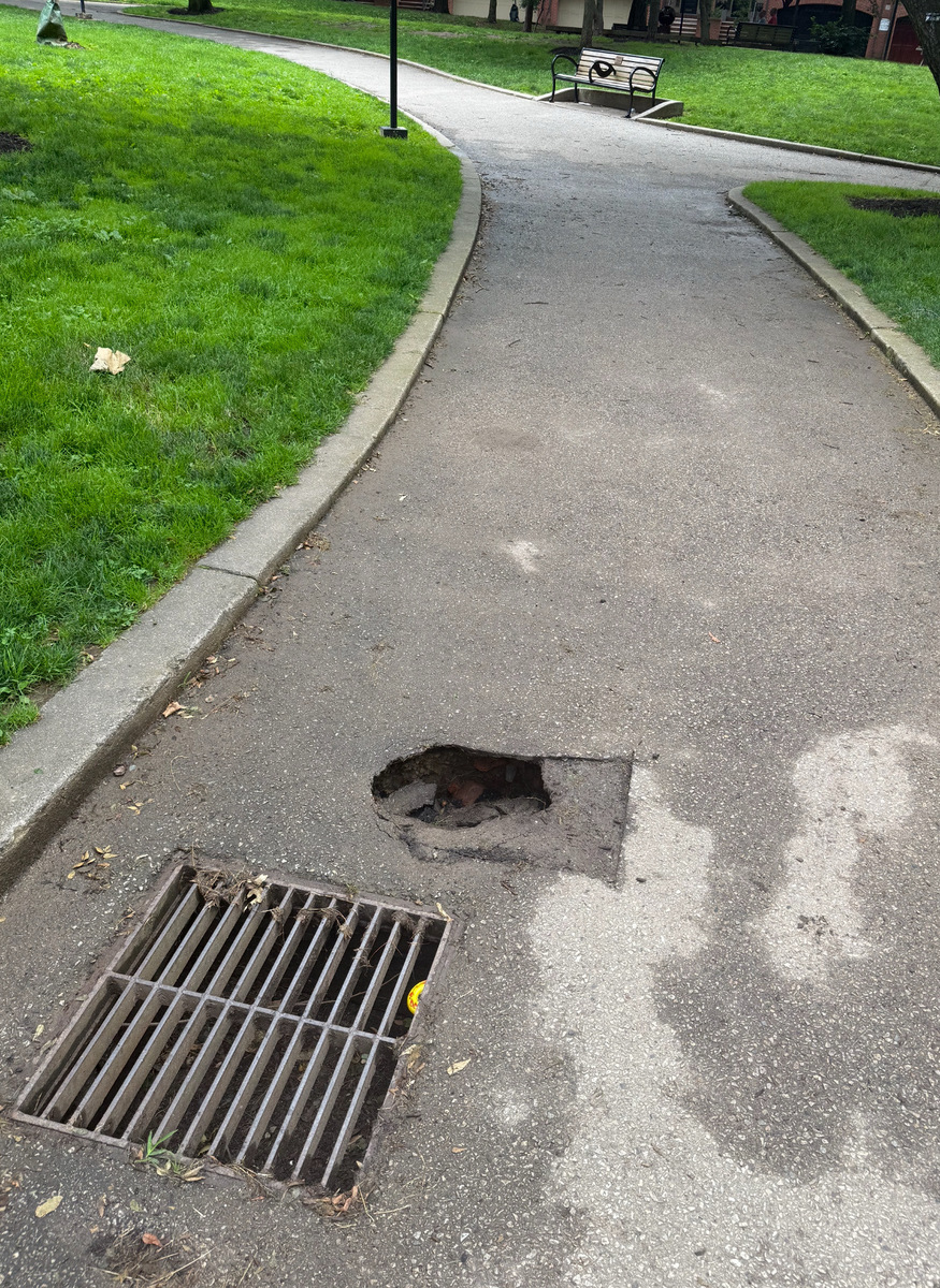 Photographic documentation of the work as submitted to the city's 311 record.
