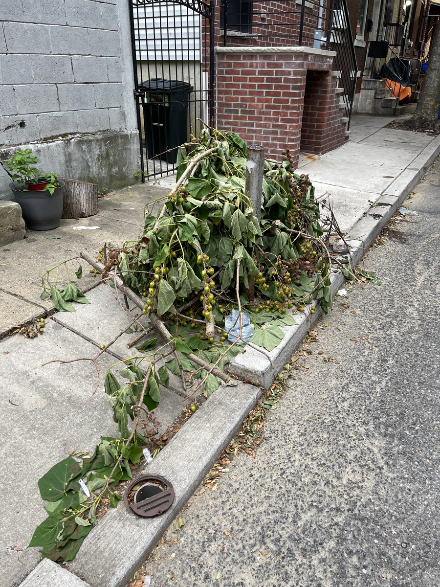 Photographic documentation of the work as submitted to the city's 311 record.