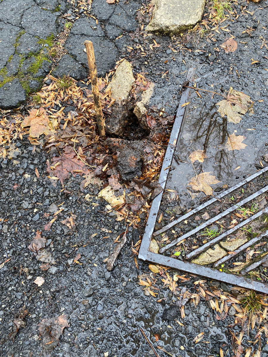 Photographic documentation of the work as submitted to the city's 311 record.