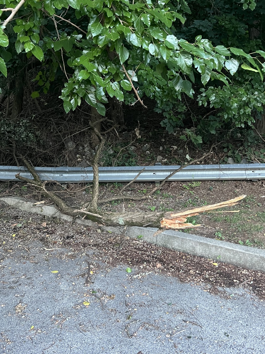 Photographic documentation of the work as submitted to the city's 311 record.