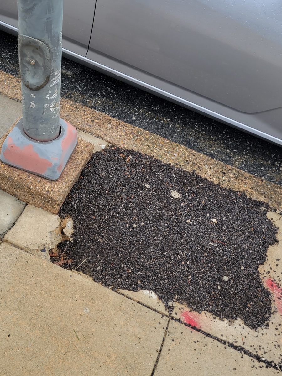 Photographic documentation of the work as submitted to the city's 311 record.