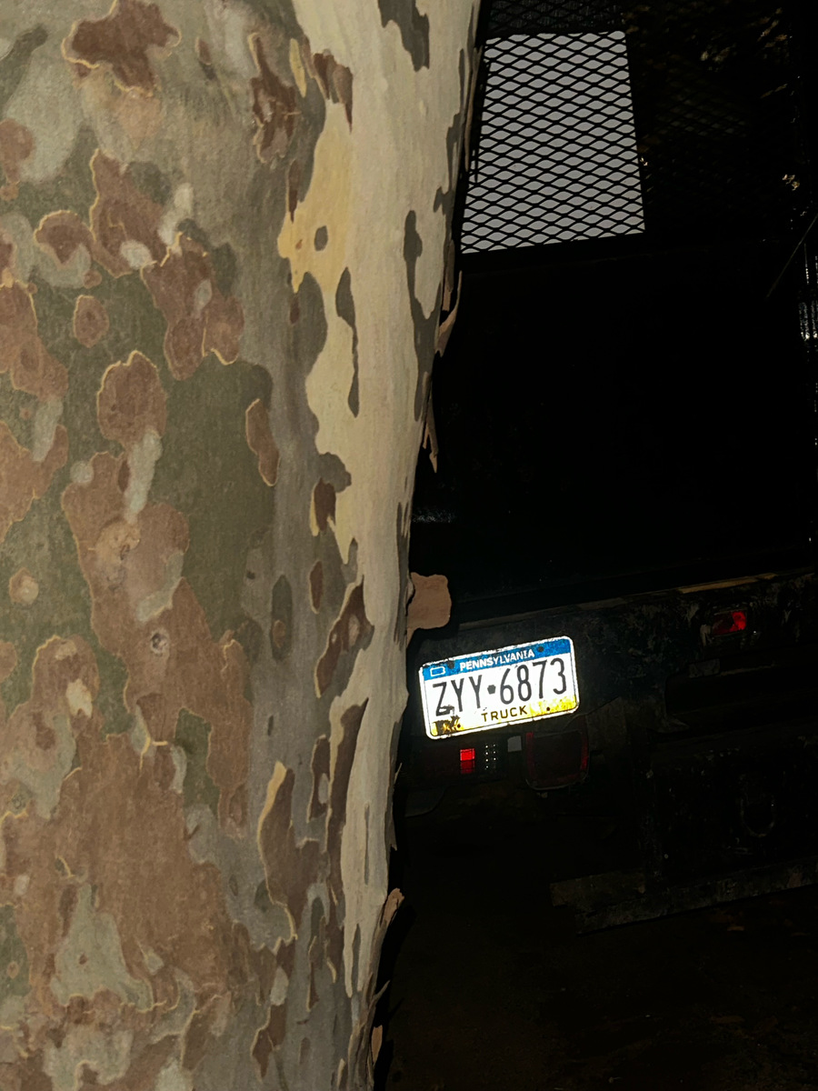 Photographic documentation of the work as submitted to the city's 311 record.