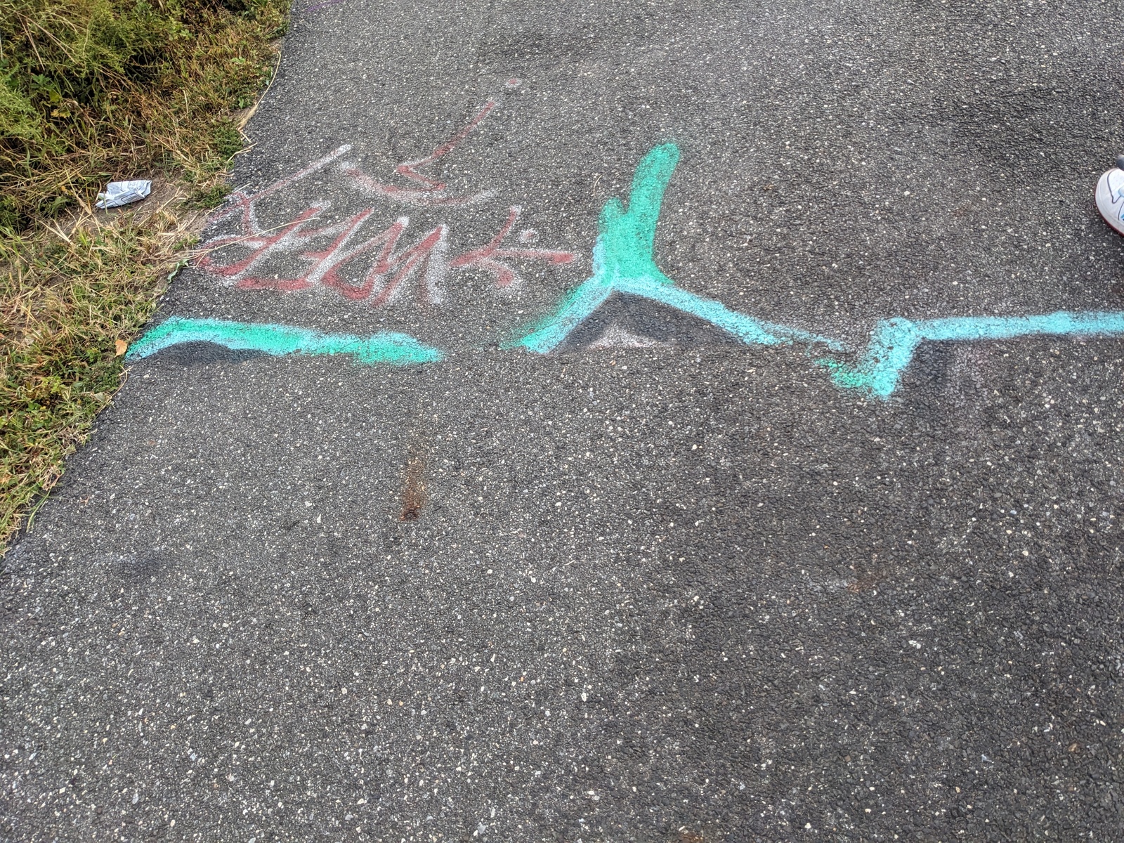 Photographic documentation of the work as submitted to the city's 311 record.