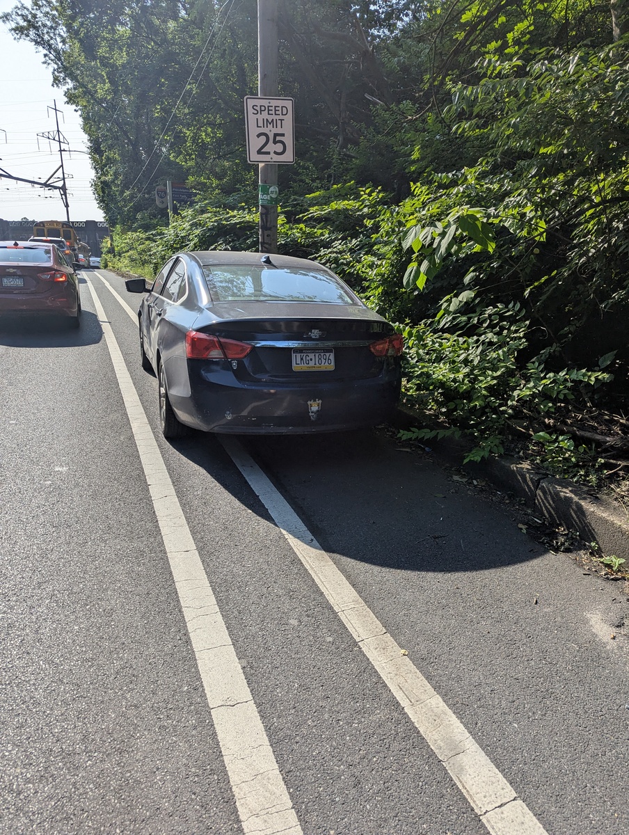 Photographic documentation of the work as submitted to the city's 311 record.