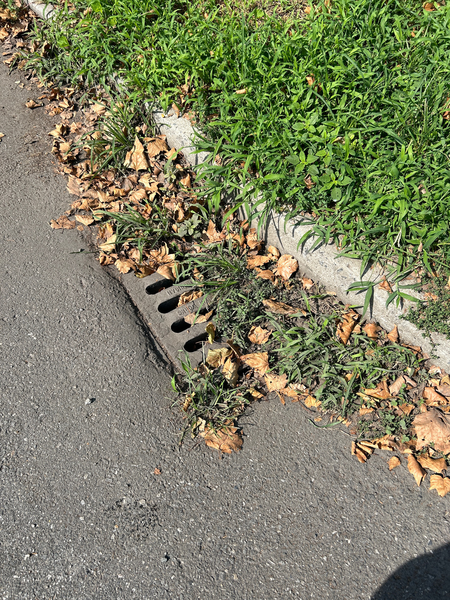 Photographic documentation of the work as submitted to the city's 311 record.