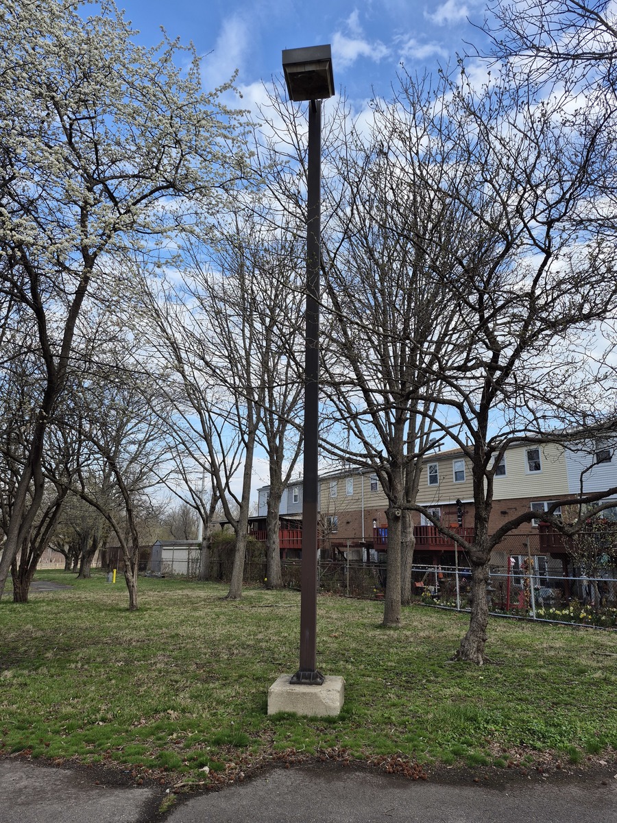 Photographic documentation of the work as submitted to the city's 311 record.