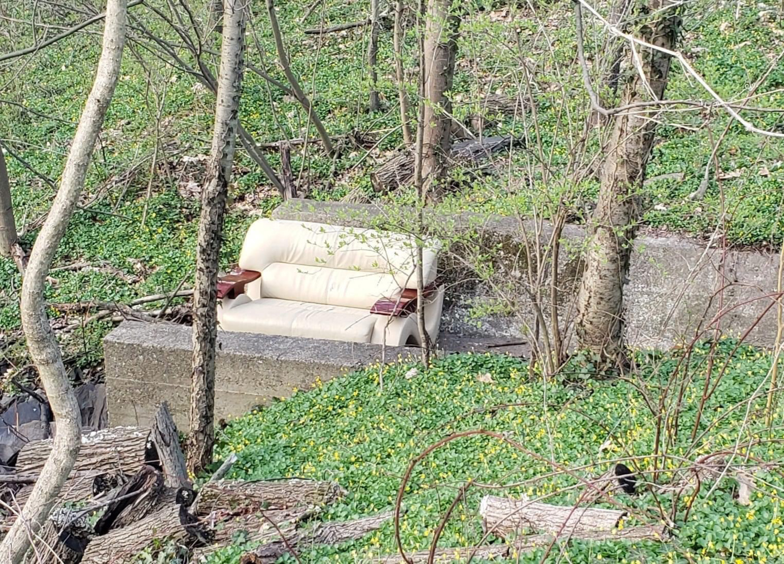 Photographic documentation of the work as submitted to the city's 311 record.