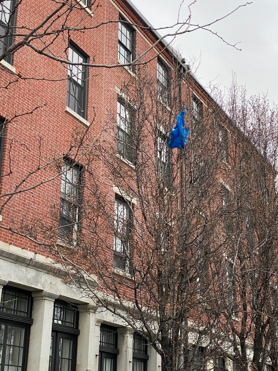 Photographic documentation of the work as submitted to the city's 311 record.