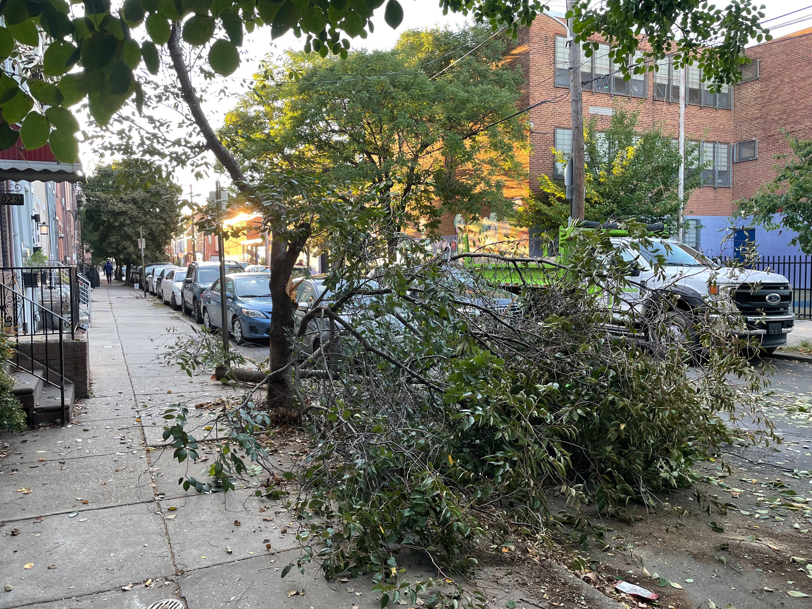 Photographic documentation of the work as submitted to the city's 311 record.